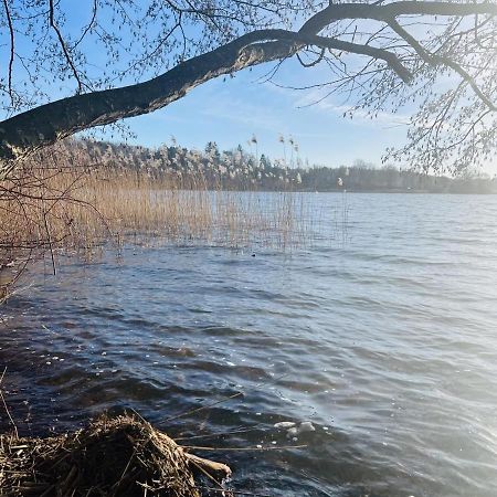 Landhaus Am See App. 2 Ponitz am See Zewnętrze zdjęcie