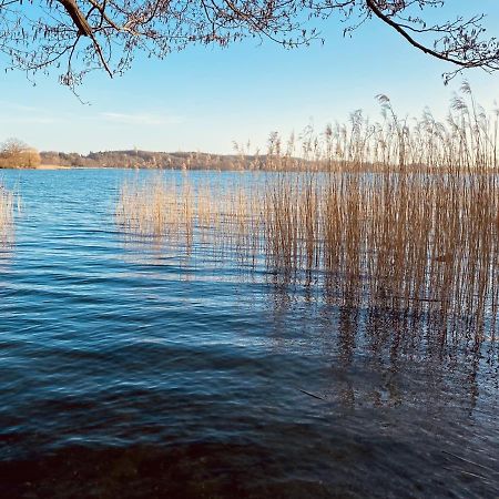 Landhaus Am See App. 2 Ponitz am See Zewnętrze zdjęcie