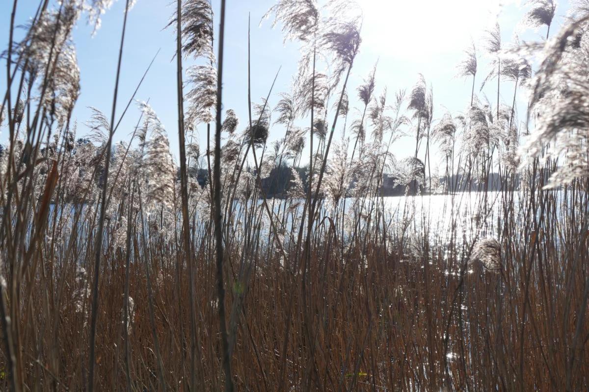 Landhaus Am See App. 2 Ponitz am See Zewnętrze zdjęcie