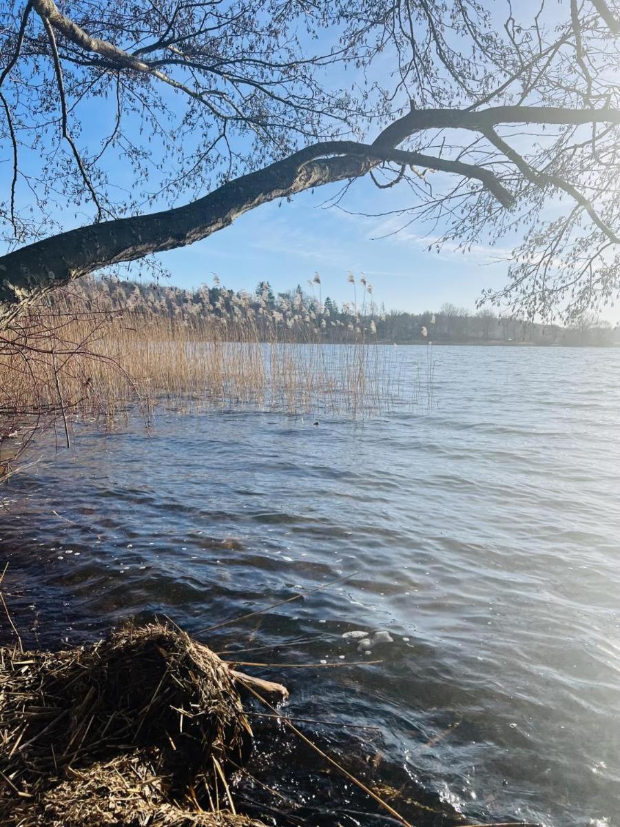 Landhaus Am See App. 2 Ponitz am See Zewnętrze zdjęcie