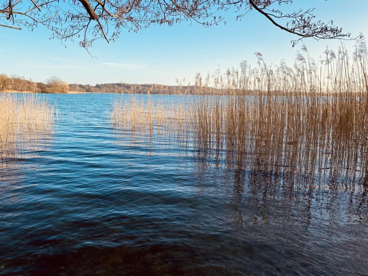 Landhaus Am See App. 2 Ponitz am See Zewnętrze zdjęcie